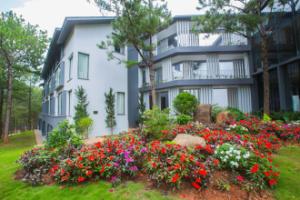 Terracotta Hotel & Resort Dalat, Далат