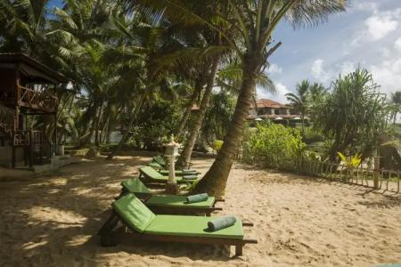 Rockside Beach Resort - Other Level Certified - 23