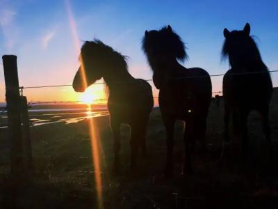 North West Restaurant & - 12