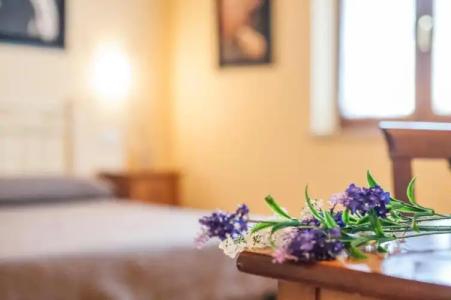 Villa Tuscany Siena - 30