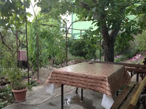 Blooming Garden - 23
