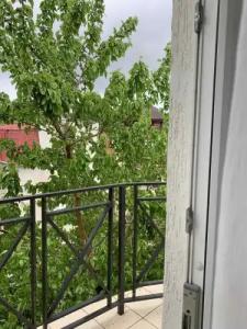 Гостевой дом с Рыцарем - 52