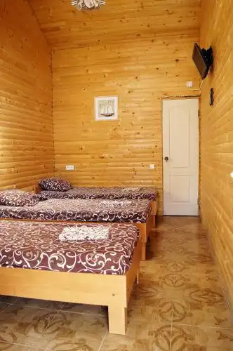 Мед - 13