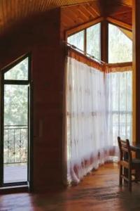 Гребенки - 23