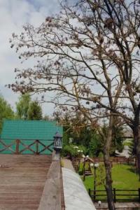 Гребенки - 31