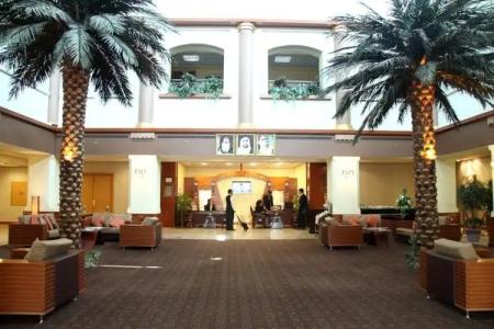 Tulip Inn Fz LLC (ех. Tulip Inn Knowledge Village) - 10