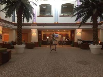 Tulip Inn Fz LLC (ех. Tulip Inn Knowledge Village) - 12