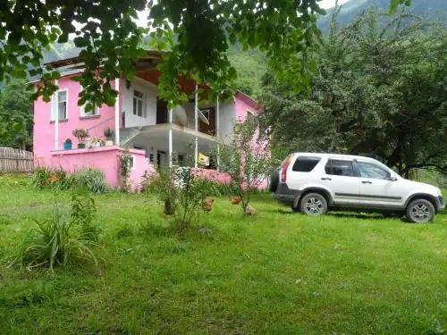 Guest house ushba - 29