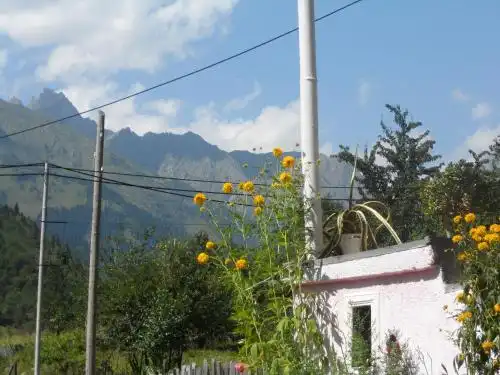 Guest house ushba - 59