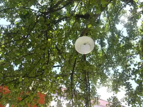 Guest house ushba - 58