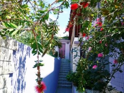 ApartViola - 33