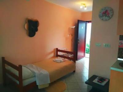 ApartViola - 50