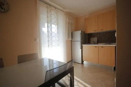 ApartViola - 16