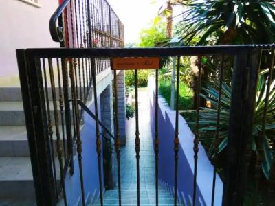 ApartViola - 34