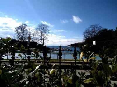 ApartViola - 38