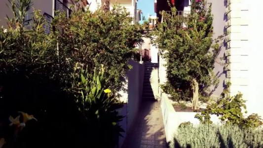 ApartViola - 46