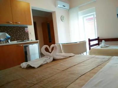 ApartViola - 21
