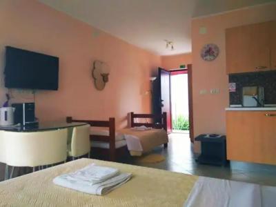 ApartViola - 48