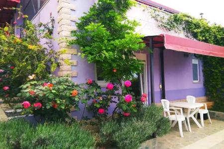 ApartViola - 12