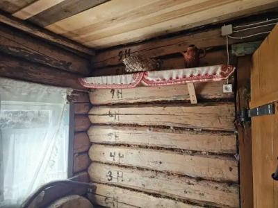 Матренинъ дом в деревне Лисицино - 10