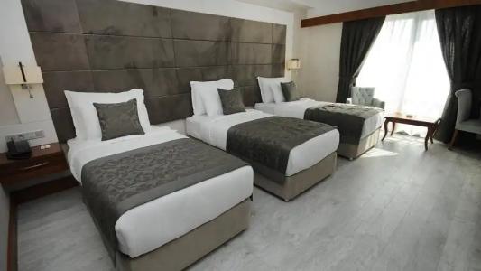 Elites Darica Spa & Convention Center - 105