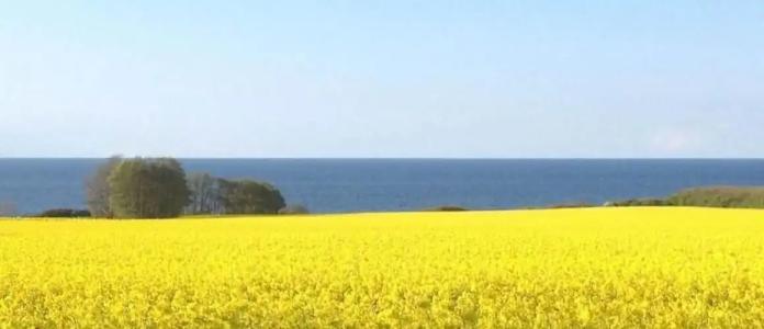 Seehus Ostsee - 19