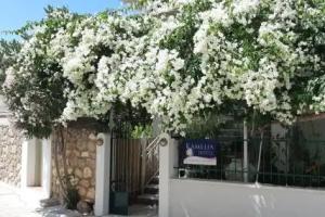 Kamelia Hotel, Спеце