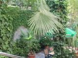 Стандартный двухместный номер с 2 отдельными кроватями и террасой