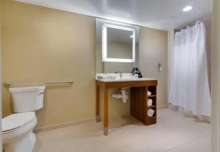 SpringHill Suites by Marriott Orlando Lake Buena Vista South - 11