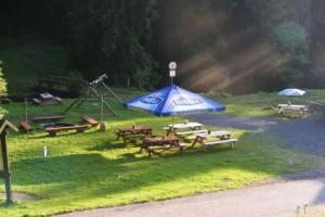 Гостевой дом «Penzion Lesní Zátiší- Harrachov», Гаррахов