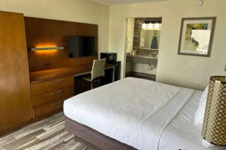 Quality Inn & Suites Downtown - 4