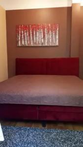 Minhauzena Unda - 33