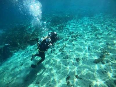 Alexandros Palace - 44