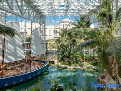 Gaylord Palms Resort & Convention Center - 46