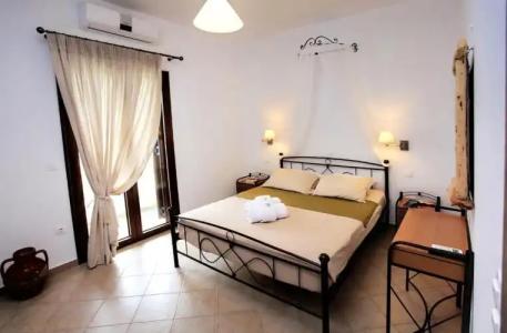 Anemonisia Deluxe - 100