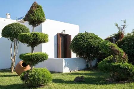 Anemonisia Deluxe - 36