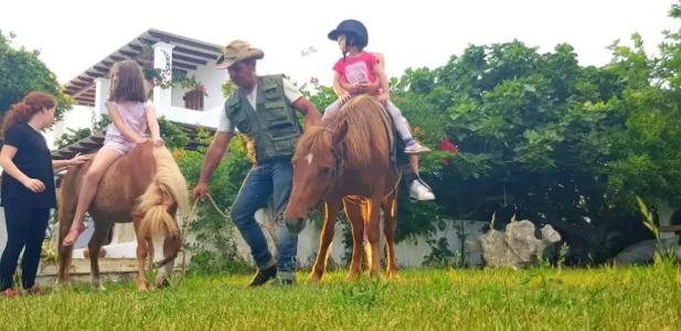 Anemonisia Deluxe - 63