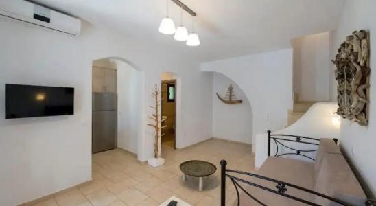 Anemonisia Deluxe - 15