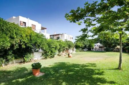 Anemonisia Deluxe - 60