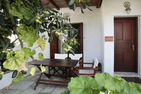 Anemonisia Deluxe - 17