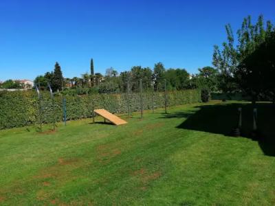 Maj Residence  Premium - 15