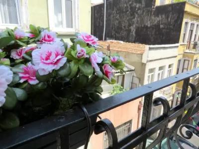 Istanberry - Sunshine Flats - 72