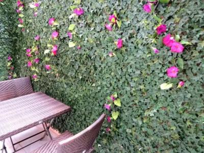 Istanberry - Sunshine Flats - 116