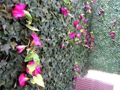 Istanberry - Sunshine Flats - 113