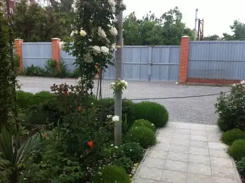 Виктория + - 3