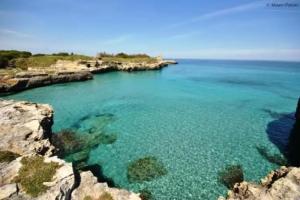 Ферма «Agriturismo Masseria Baronali», Борганье