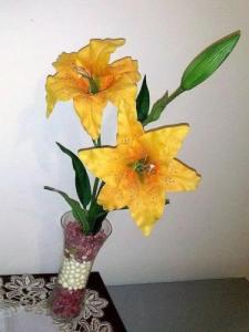 Bed&Breakfast La Cornucopia - 32