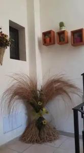 Bed&Breakfast La Cornucopia - 10