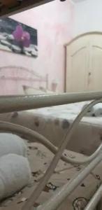 Bed&Breakfast La Cornucopia - 28