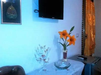 Bed&Breakfast La Cornucopia - 30